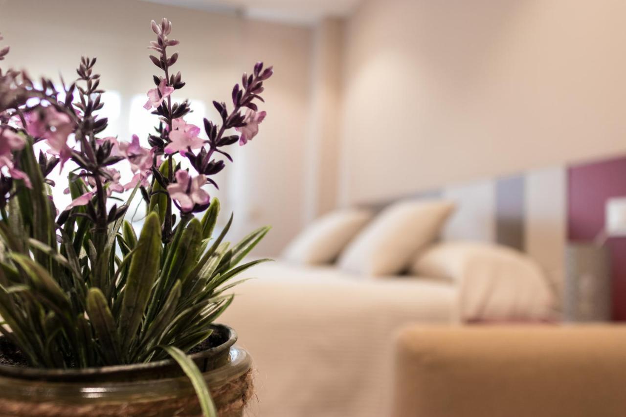 Estudios Dona Manuela Apartment Daimiel